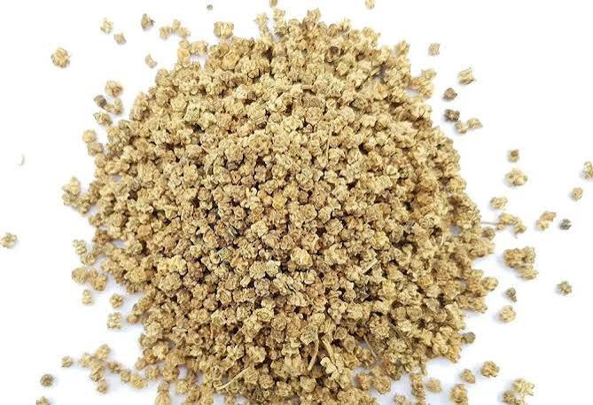 ALL GREEN(PALAK) SEEDS